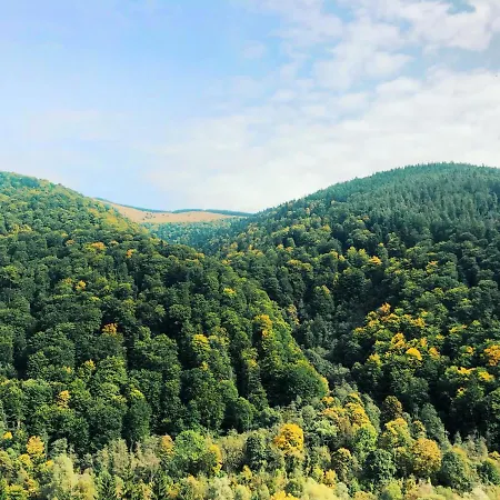 Green View * Sinaia